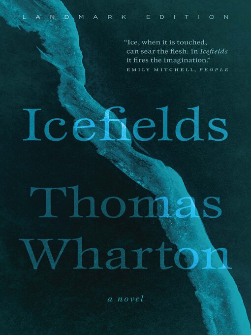 Cover image for Icefields